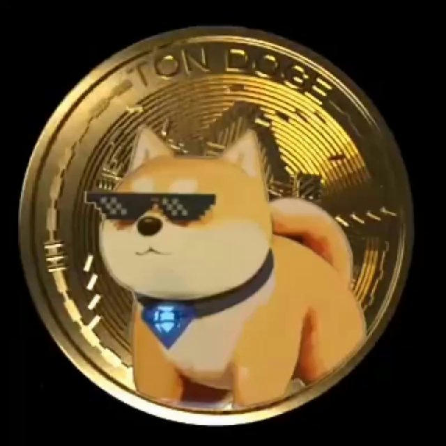 Раздача TonDoge | Ответ на вопрос💎