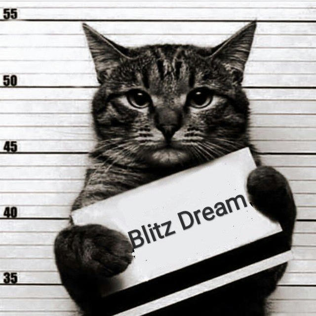 Blitz Dream