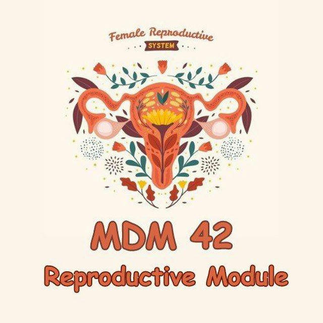 MDM42|| Reproductive 🥼🩺