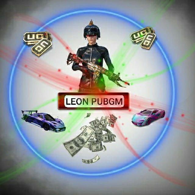 LEON PUBGM