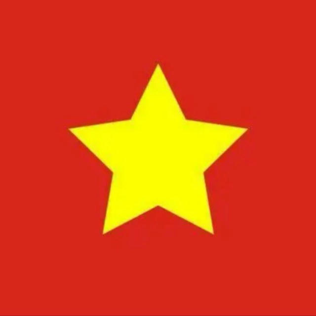 越南|河内|芽庄|新闻|曝光