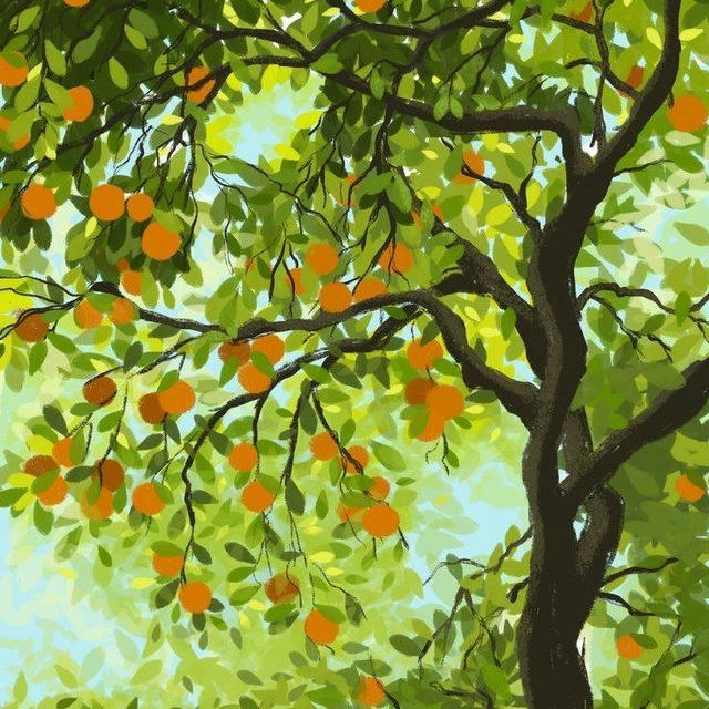 【﻿Ｏｒａｎｇｅ ｔｒｅｅ】🍊🌳