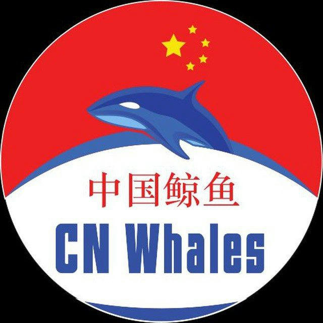 CN Whales 🇨🇳 中国鲸鱼