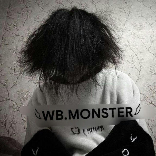 𓆩WB.MONSTER𓆪