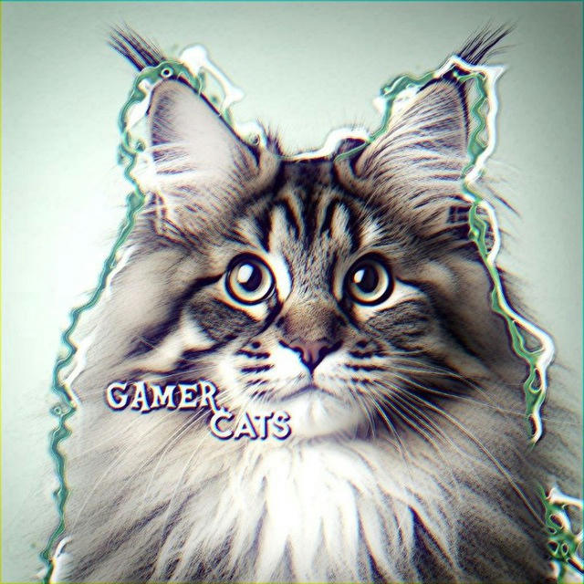 Gamer_cats