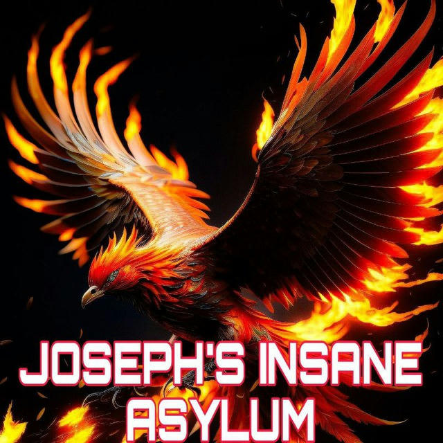 joseph's insane asylum