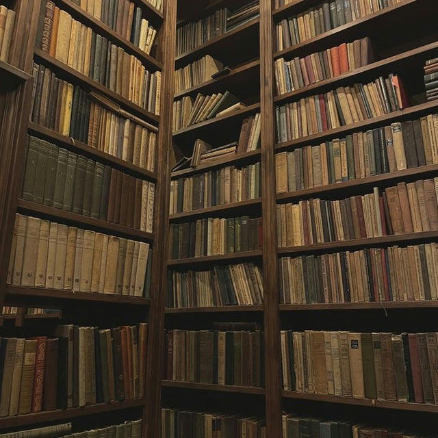 Лилит и книги 📖