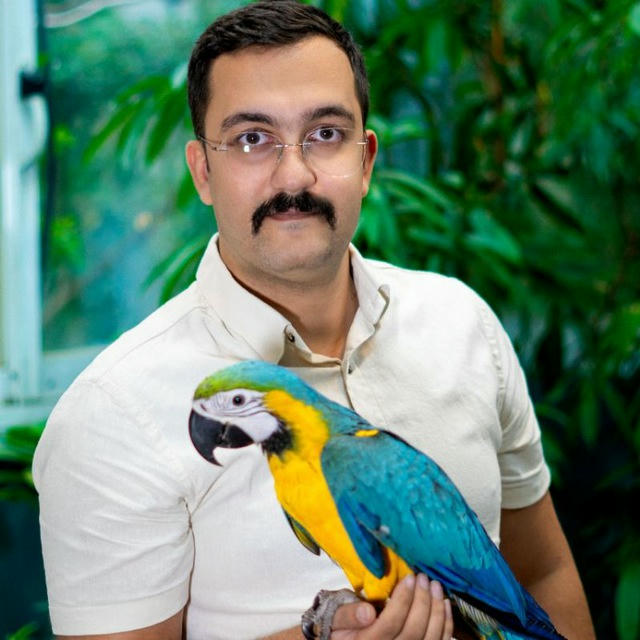 Bayat_parrot