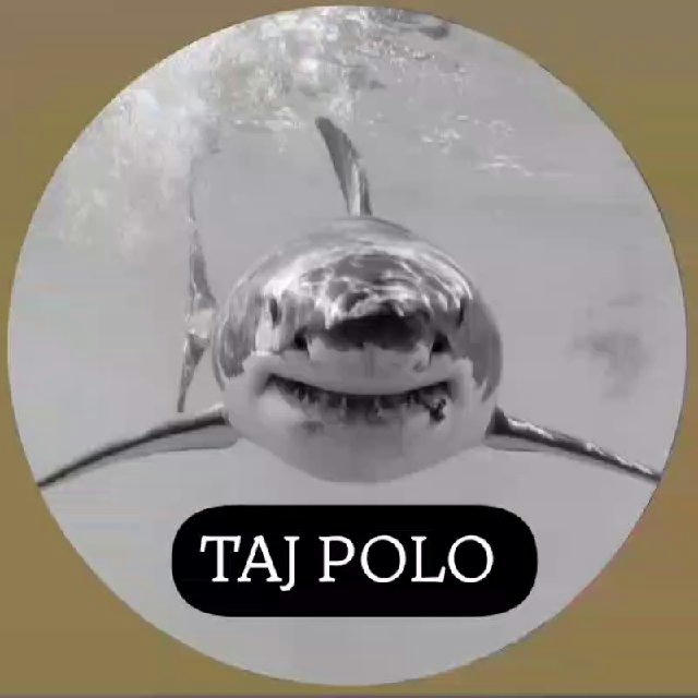 TAJ POLO🦈|BASS|💊 КАРТИНКАХОНА🦅