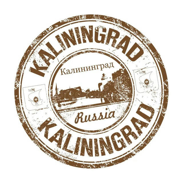 Полюбить Калининград