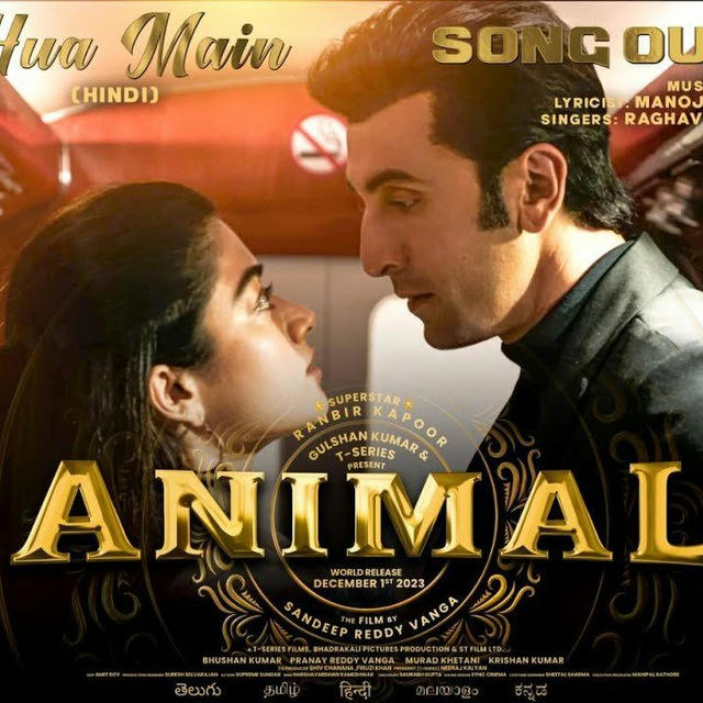 Animal | Dunki | Salaar