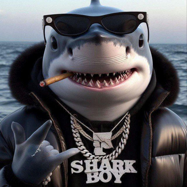 SHARK 🦈 BOY THE PLUG 420