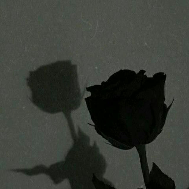 بوسـتآت عَمِـيقَه 🖤🥀