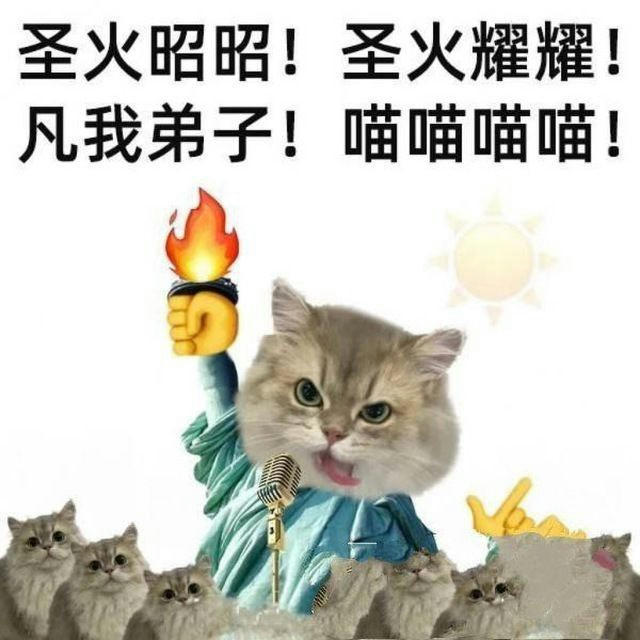 喵😼好看好笑好色好吓人