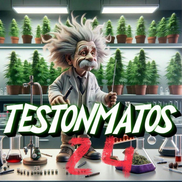 Testonmatos24