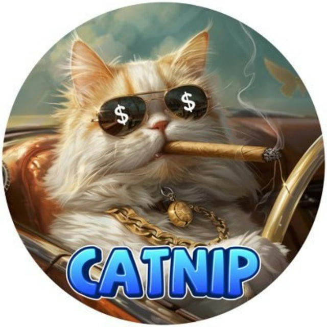 Catnip Portal