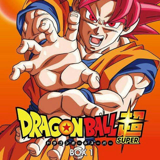 Dragon Ball Super Hindi