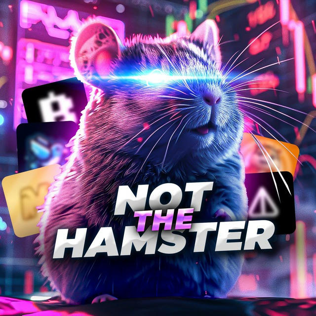 Not The Hamster 🐹