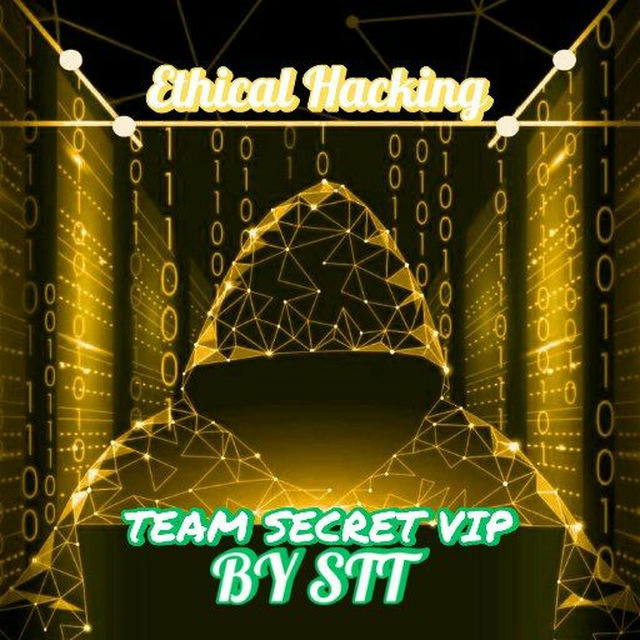 TEAM SECRET VIP BY STT