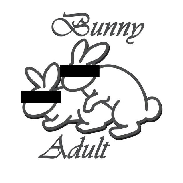 Bunny Adult / эстетика / эротика