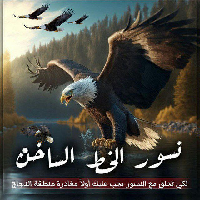 نــ🦅ـسورالـخـط الساخن☄