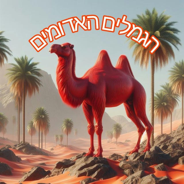 הגמלים האדומים