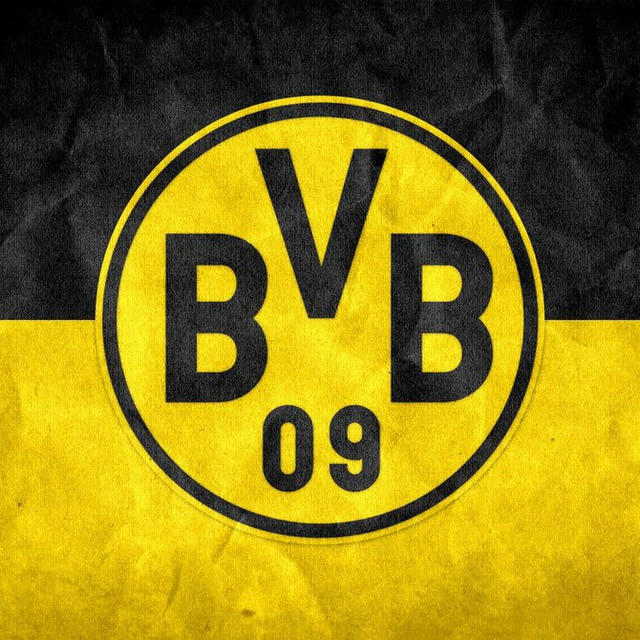 🇩🇪 ミ Dortmund BVB 彡🇩🇪