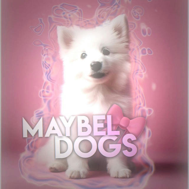 Maybel dogs