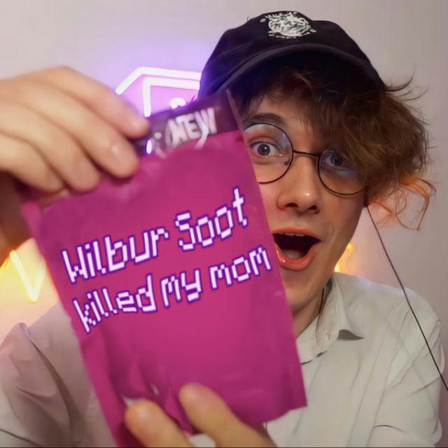 Wilbur Soot killed my mom