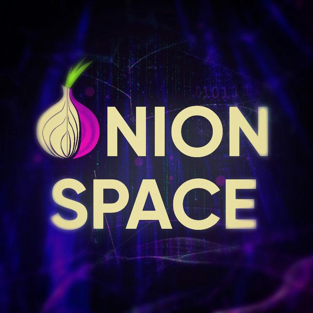 OnionSpace ⚡️