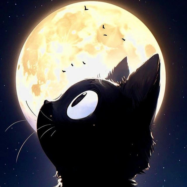 Лунный Кот 🐈‍⬛ | Астрология Гороскоп