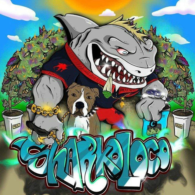 SHARKOLOCO420🦈🔌