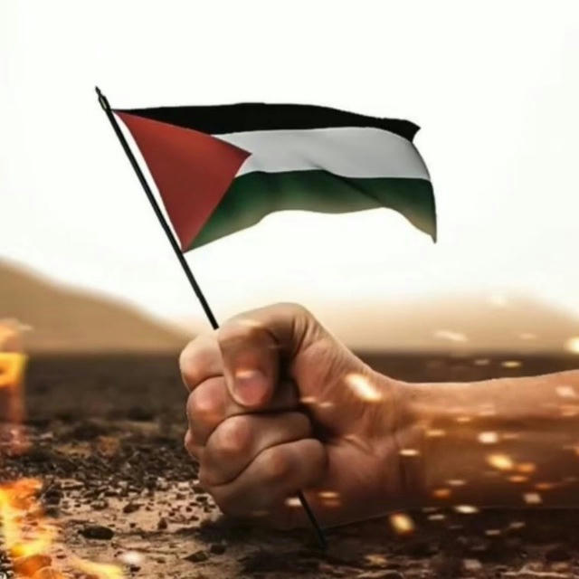 ابن المخيم 🇵🇸