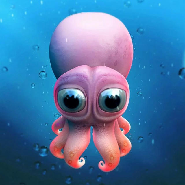 Funny Squid