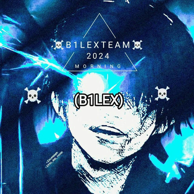 B1LEX TEAM