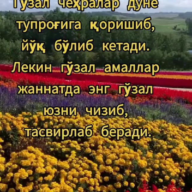 🕊🌸🍃САОДАТ АСРИ 🍃🌸 🕊