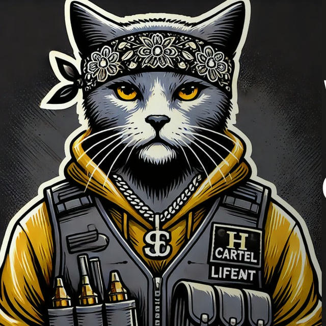 The Cat Cartel Sol I Bnb Memecoin