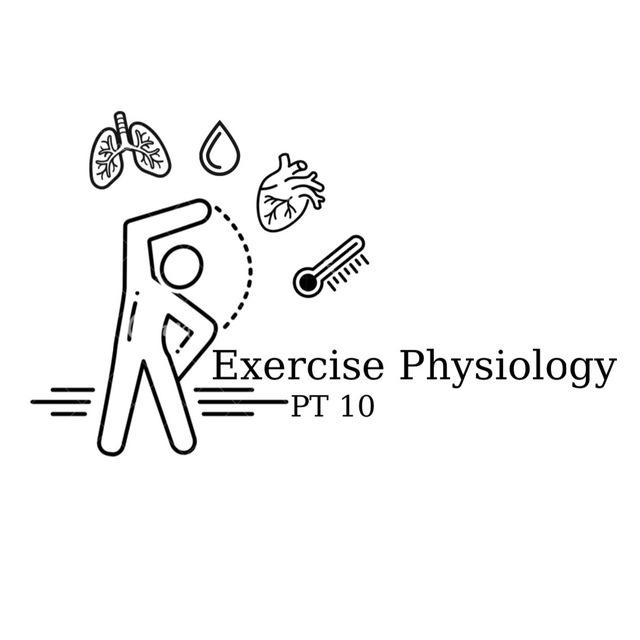 Exercise physiology PT10
