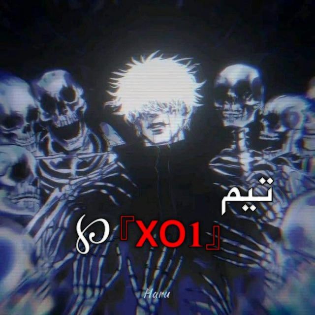 استوديو XO1