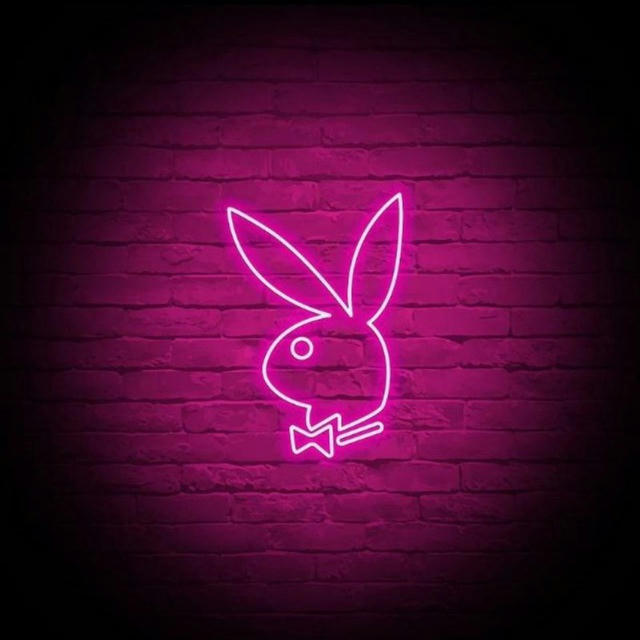 𝐂𝐀𝐓𝐀𝐋𝐎𝐆𝐎 𝐃𝐄 𝐕𝐄𝐑𝐈𝐅𝐈𝐂𝐀𝐃𝐀𝐒🐇