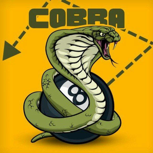 Aim cobra official