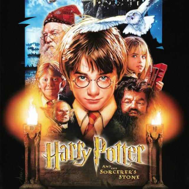 🎪 Harry Potter 🎪