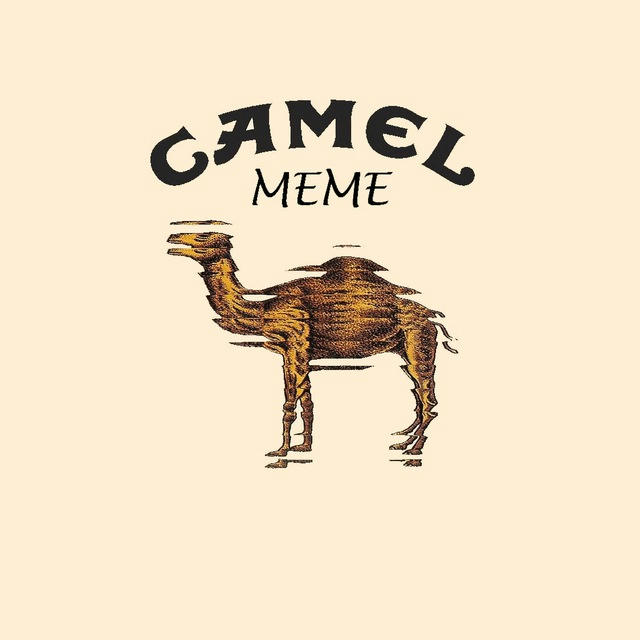 Camel Meme 🐪