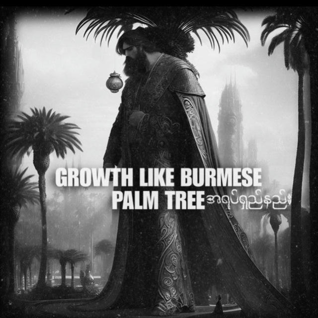 Growth Like Burmese Palm Tree