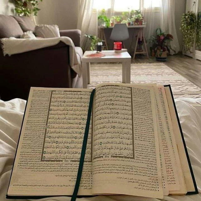 Quran | قرأن♡