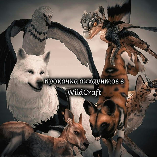 Прокачка аккаунтов в WildCraft