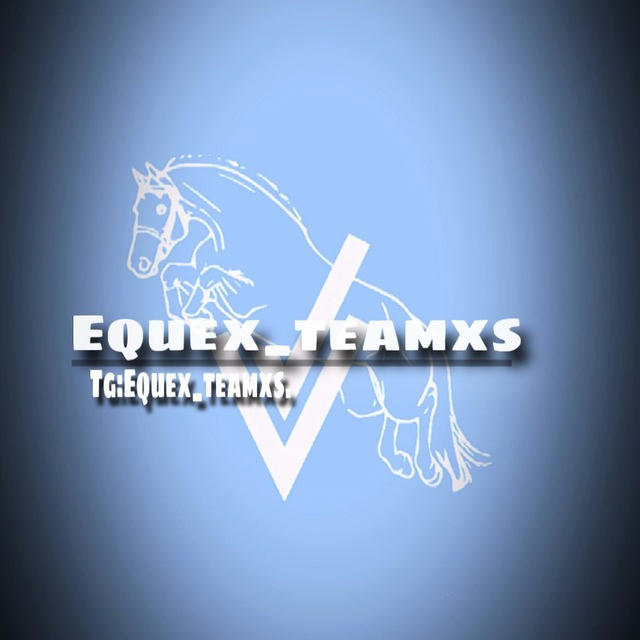 Equex_teamxs.