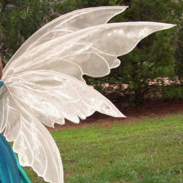fairies mbti