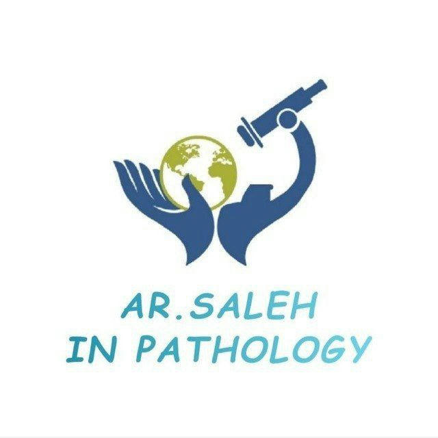 AR. Saleh (Level 1)