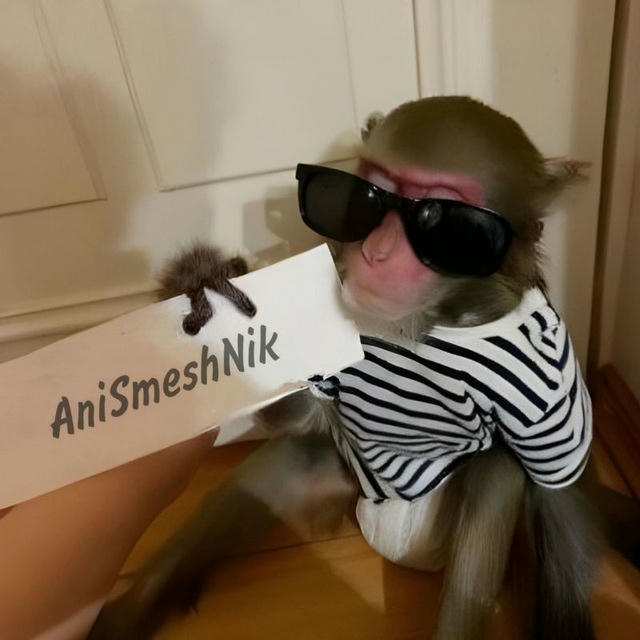 AniSmeshNik ™🎖